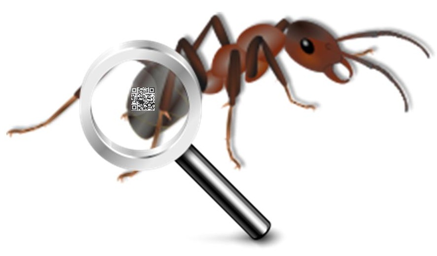 QR Codes Ants Study