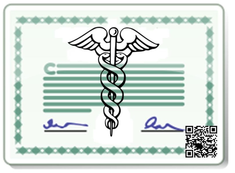 How does a physician obtain a medical license?