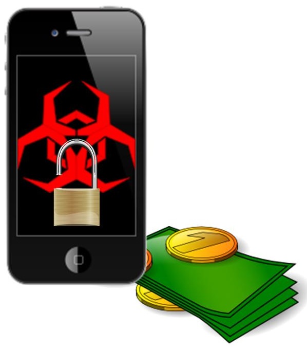 Mobile Commerce Security Issues