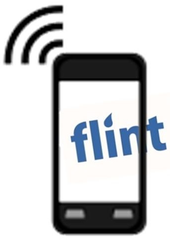 Mobile Payments - Flint