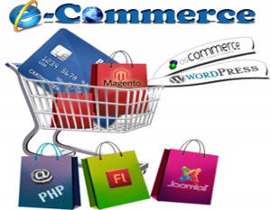 E-commerce Software market