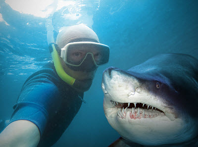 selfie stick with shark