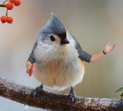 electronic talking bird
